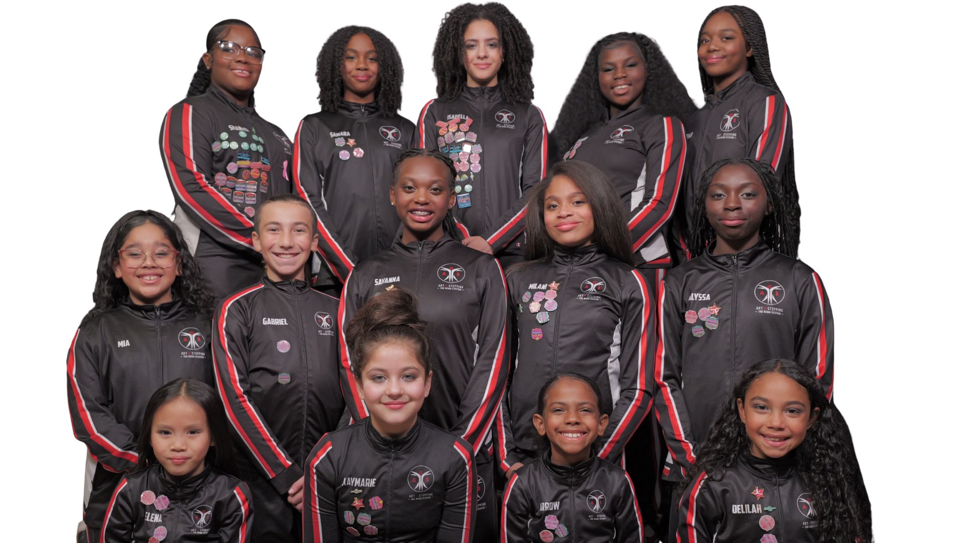 Art of Stepping school licensing program